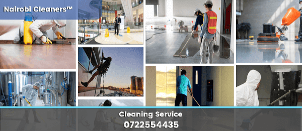 Professional Cleaning Services in Nairobi and Kenya