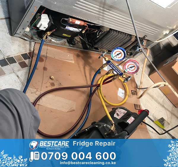 Best Refrigerator Repair